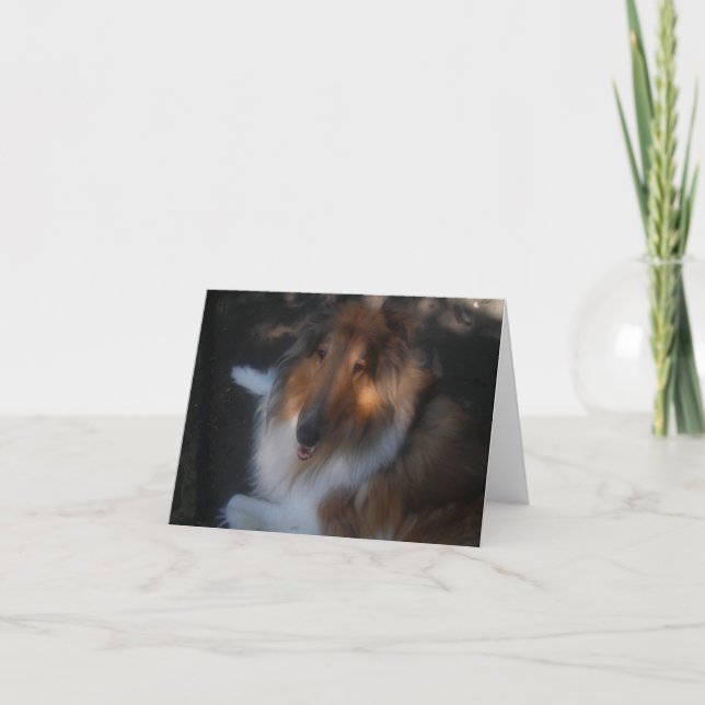 Collie note card (Front)