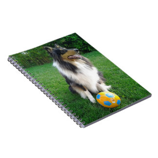 Collie Notebook