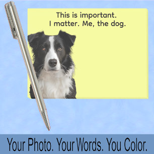 Collie or Your Dog Photo—Stocking Stuffer Cute Post-it Notes