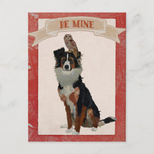 COLLIE & OWL VALENTINE'S Postcard