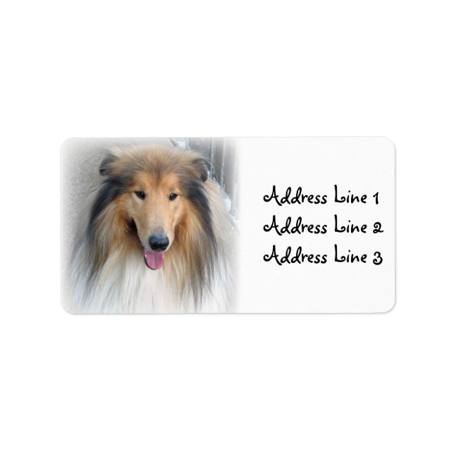Collie Photo Address Label (Front)