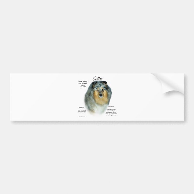 Collie (rough merle) History Design Bumper Sticker (Front)