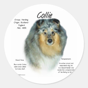 Collie (rough merle) History Design Classic Round Sticker