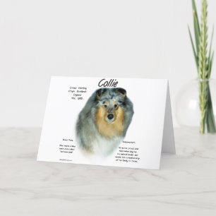 Collie (rough merle) History Design Holiday Card
