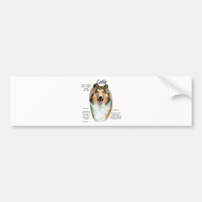 Collie (sable rough) History Design Bumper Sticker (Front)