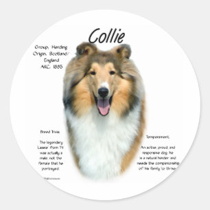 Collie (sable rough) History Design Classic Round Sticker