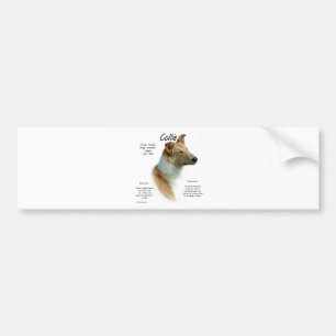 Collie (sable smooth) History Design Bumper Sticker