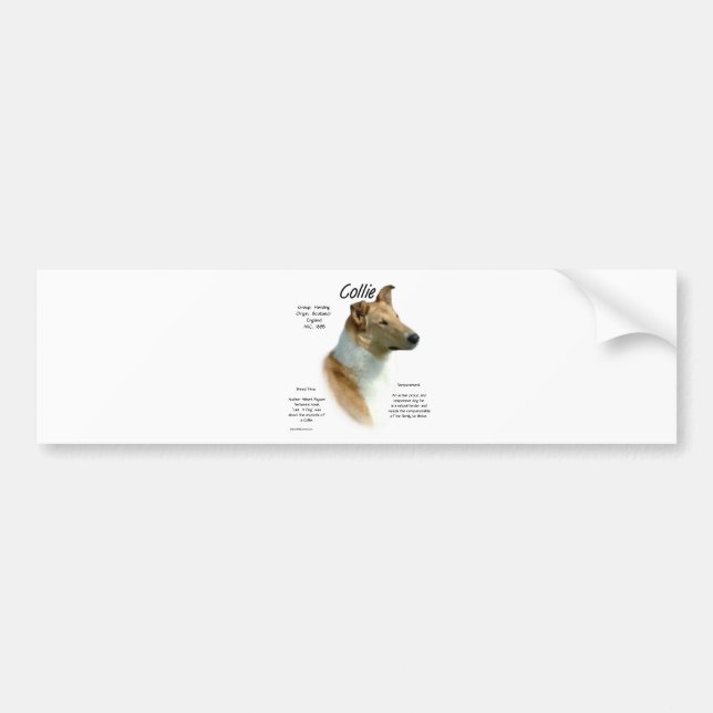 Collie (sable smooth) History Design Bumper Sticker (Front)