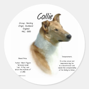 Collie (sable smooth) History Design Classic Round Sticker