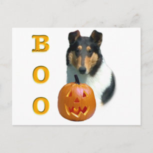 Collie (smooth) Boo Postcard