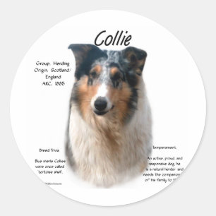 Collie (smooth merle) History Design Classic Round Sticker