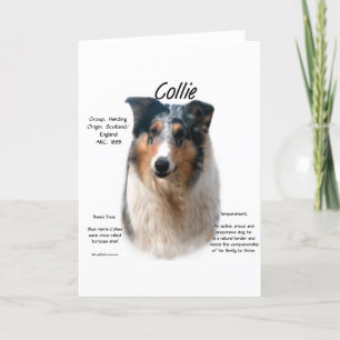 Collie (smooth merle) History Design Holiday Card