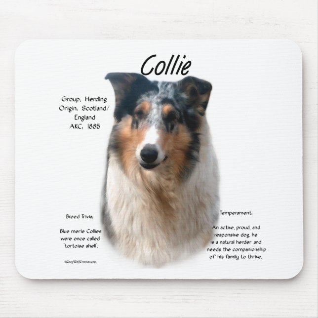Collie (smooth merle) History Design Mouse Pad (Front)