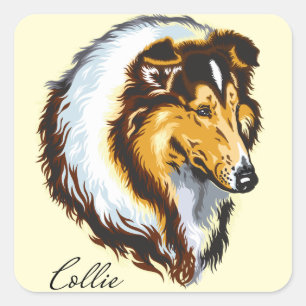 collie square sticker