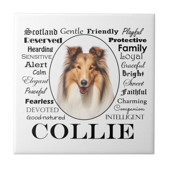 Collie Traits Ceramic Tile (Front)