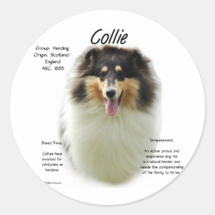 Collie (tri rough) History Design Classic Round Sticker