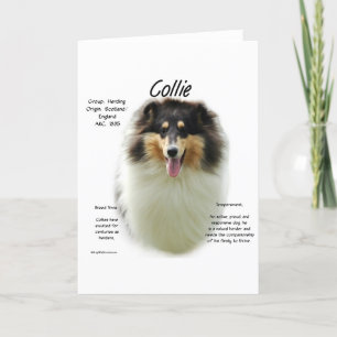 Collie (tri rough) History Design Holiday Card
