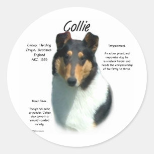 Collie (tri smooth) History Design Classic Round Sticker