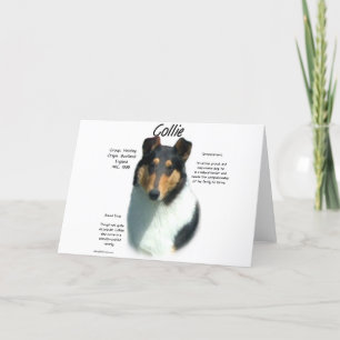 Collie (tri smooth) History Design Holiday Card
