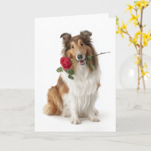 Collie Valentine’s Day – Gentle Love with a Rose Card