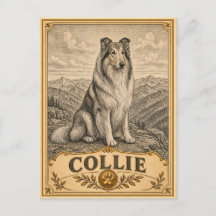 Collie, Vintage Heritage Dog