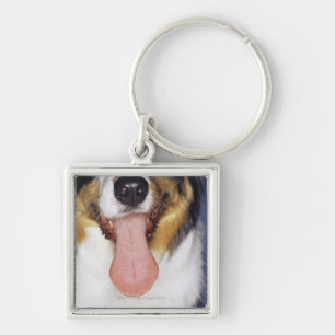 Collie wagging tongue key ring