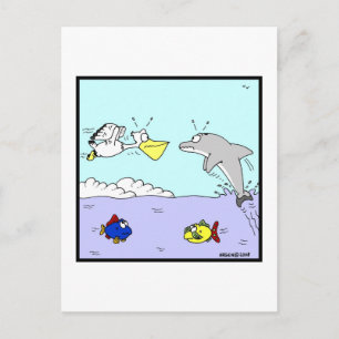 Collision: Dolphin and Pelican Cartoon Postcard