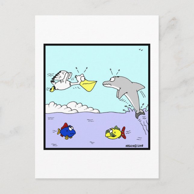Collision: Dolphin and Pelican Cartoon Postcard (Front)