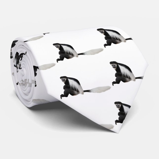 Colobus guereza tie (Rolled)