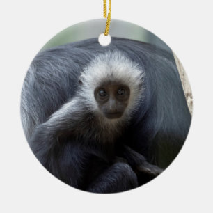 Colobus polykomos ceramic ornament
