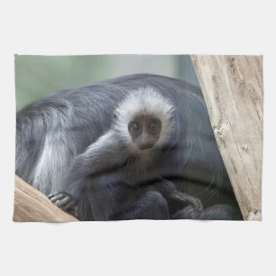 Colobus polykomos tea towel