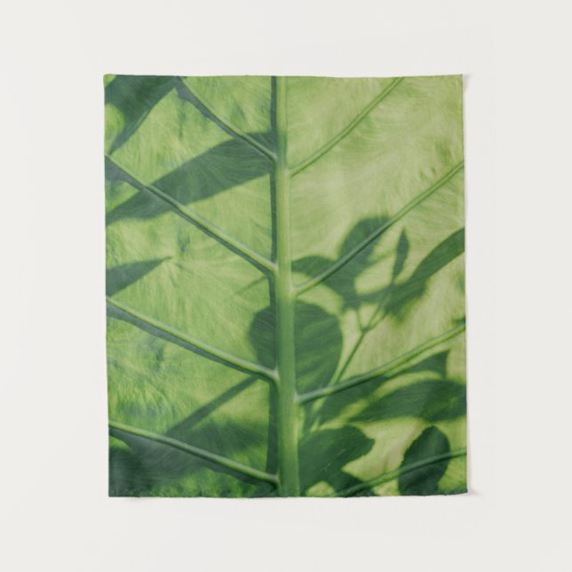 Colocasia esculenta leaf tapestry (Front)