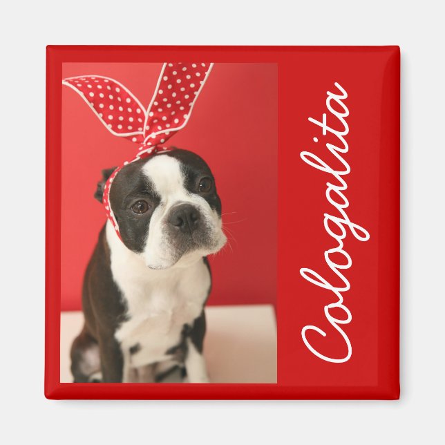 Cologalita Usamimi Magnets (Front)