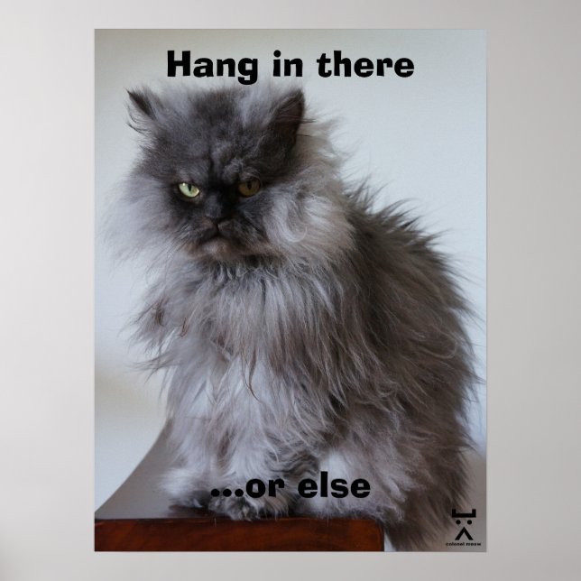 Colonel Meow Hang In There Poster (Front)
