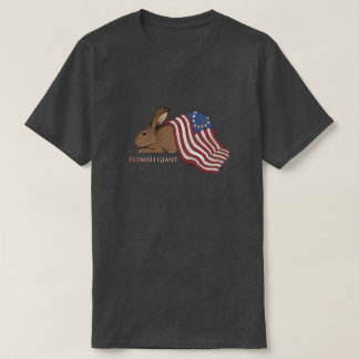 Colonial  Flag Flemish  T-Shirt
