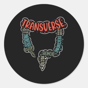 Colonoscopy Gi Funny Endoscopy Nurse Colon Anatomy Classic Round Sticker