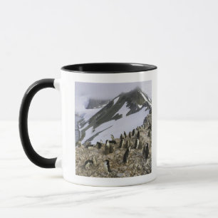 Colony of Chinstrap penguins Mug