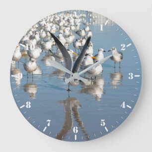 Colony of gulls on the beach large clock