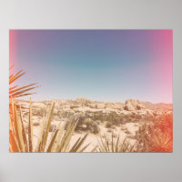 Color Light Leak Boulders at Joshua Tree