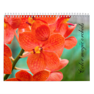 Color magic orchids calendar