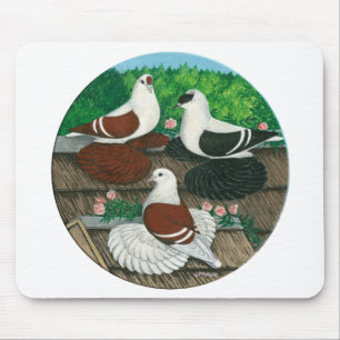 Color Pigeon Trio Mouse Pad
