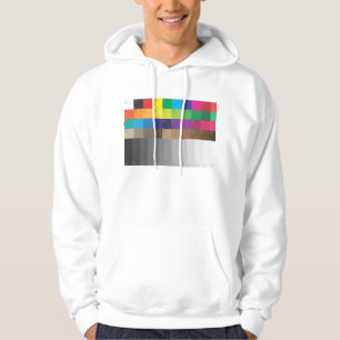 COLOR SWATCH HOODIE