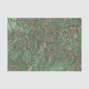 Colorado 5 2 tissue paper