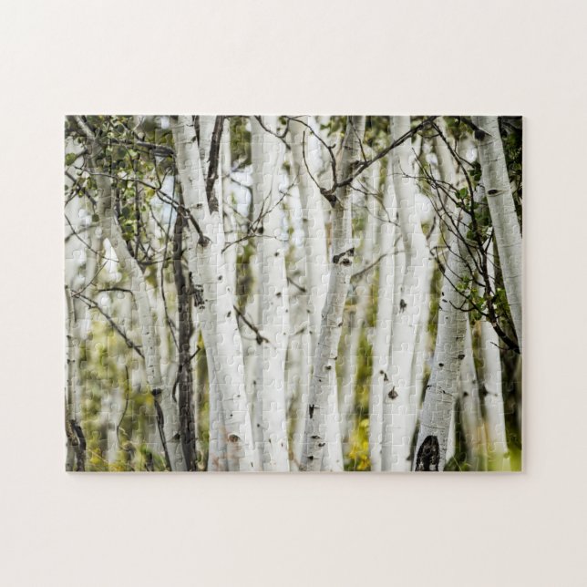 Colorado Aspen Tree Photos, Picture Jigsaw Puzzles (Horizontal)