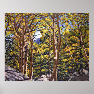 Colorado Aspens in Beautiful Autumn Splendour Poster