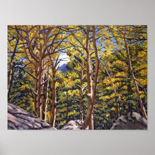 Colorado Aspens in Beautiful Autumn Splendour Poster