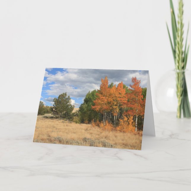 Colorado Autumn Aspen Trees All Occasion Card (Front)