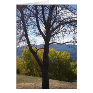 Colorado Autumn card (blank)