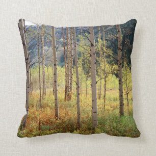 Colorado, Autumn colours of aspen trees Cushion