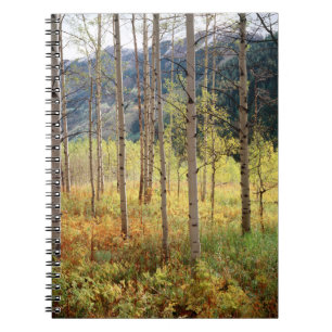 Colorado, Autumn colours of aspen trees Notebook